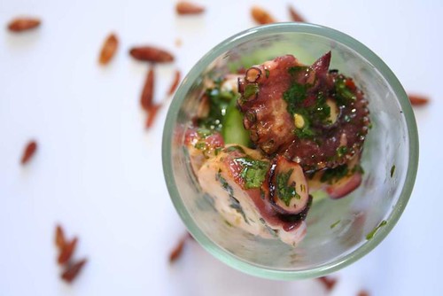 Oktopus Salat mit Chili und Korinader