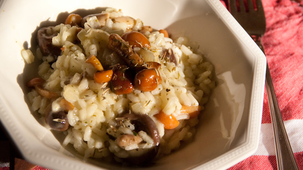 Risotto mit eingelegten Pilzen