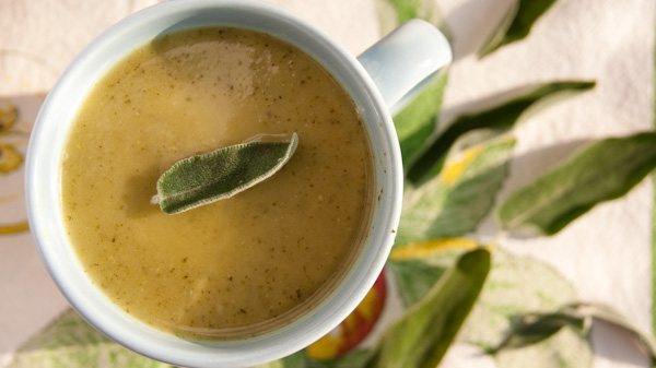 Zucchini Salbei Suppe