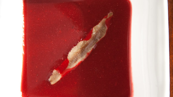 Winterliche Rote Beete Suppe