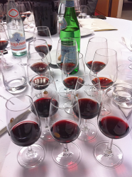 Elloinos – alles über griechischen Wein