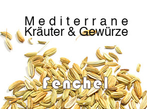 Fenchel