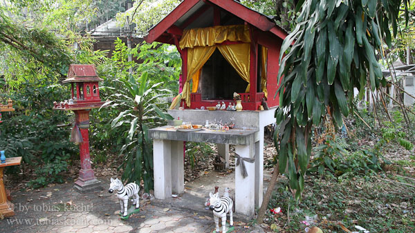 CHiang Mai Tempel-3