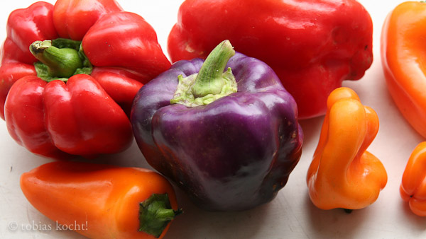 Paprika – Capsicum