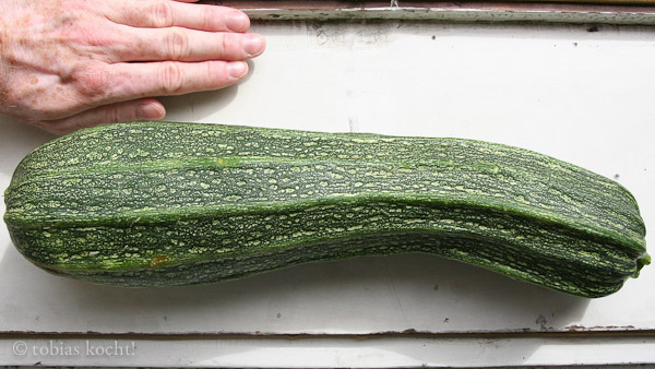 Zucchini